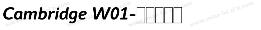 Cambridge W01字体转换